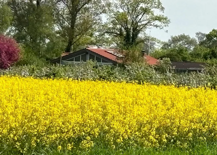 Ferienhaus-apfelblick *